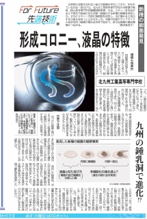 HƐV1031@Insight article of a Japanese news paper