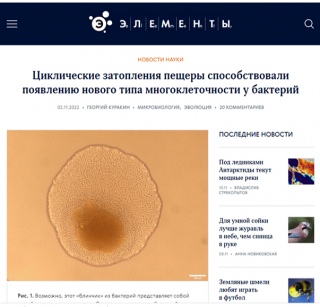 Featured in Elementary.ru ロシア科学サイトに特集される（11月2日）
